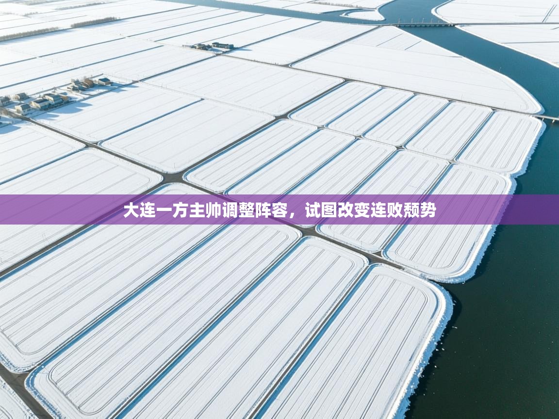 大连一方主帅调整阵容，试图改变连败颓势  第2张