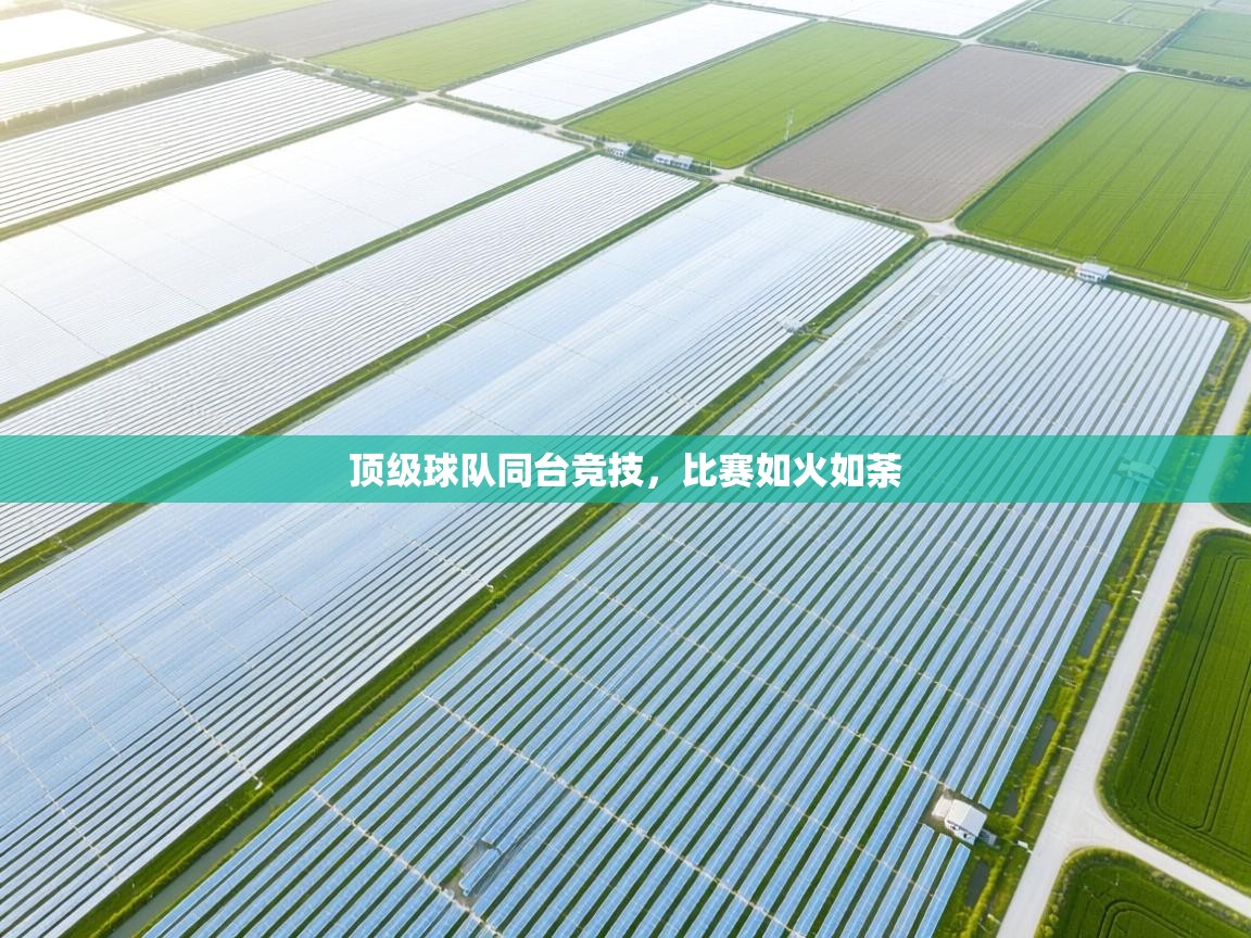 顶级球队同台竞技，比赛如火如荼