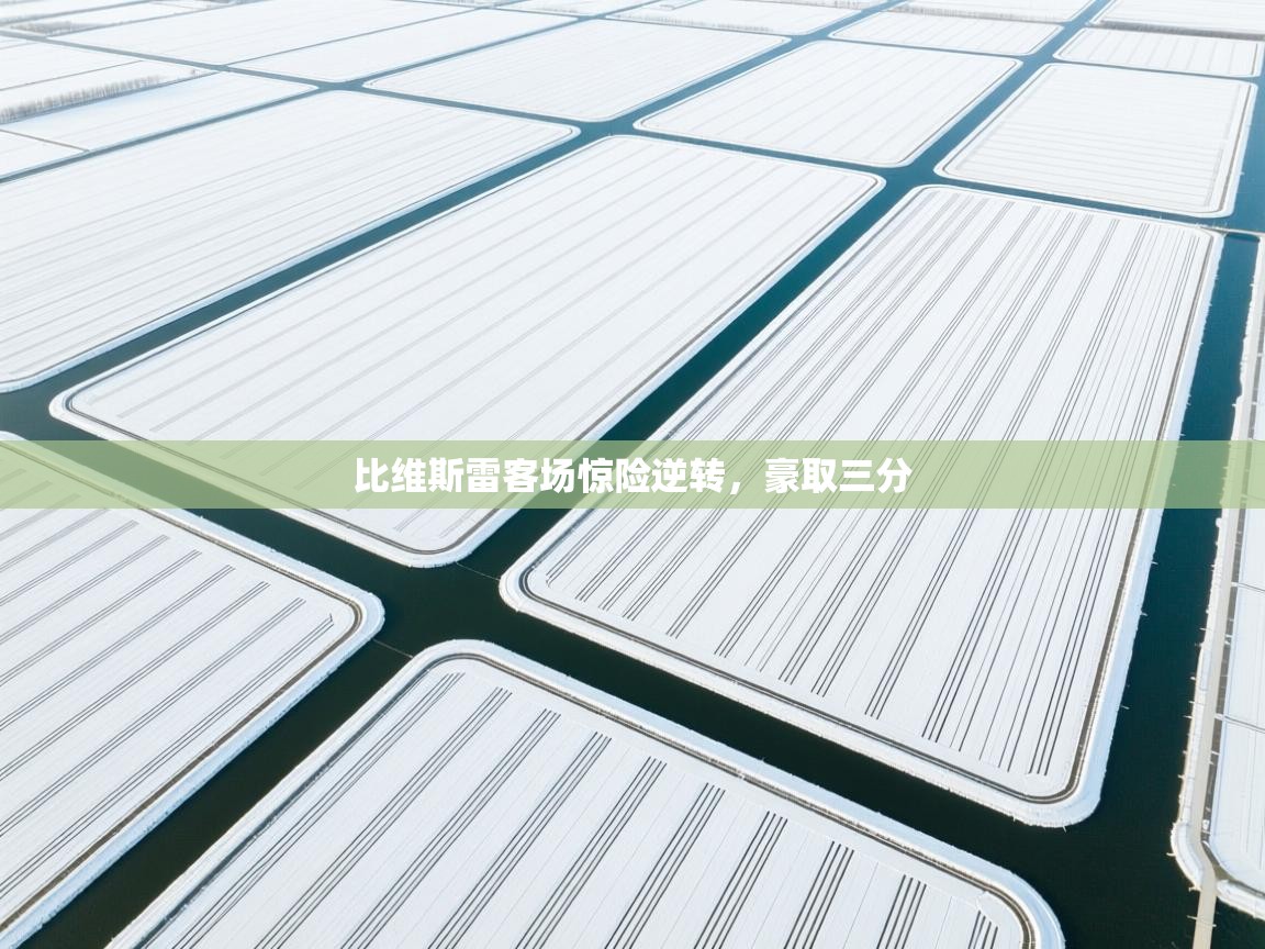 比维斯雷客场惊险逆转，豪取三分  第2张