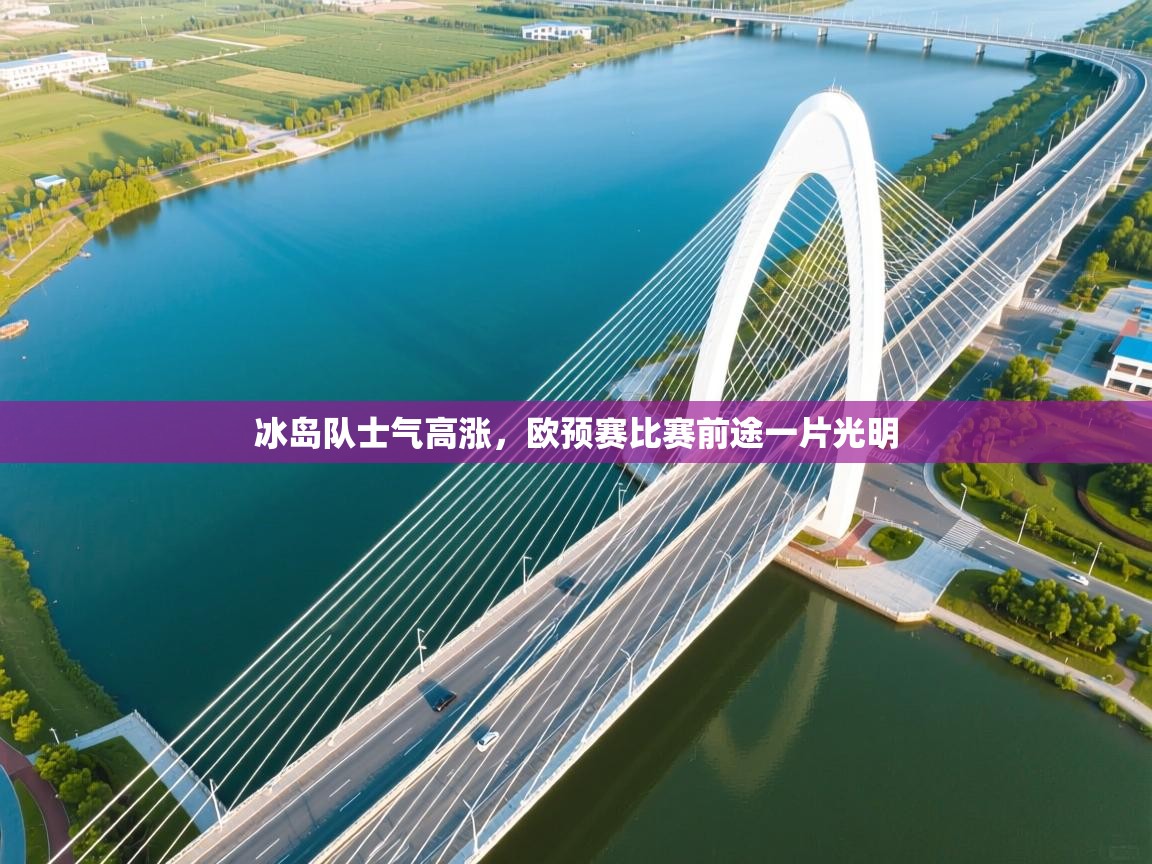 冰岛队士气高涨,欧预赛比赛前途一片光明 第1张