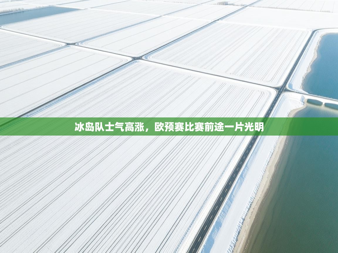 冰岛队士气高涨,欧预赛比赛前途一片光明 第2张