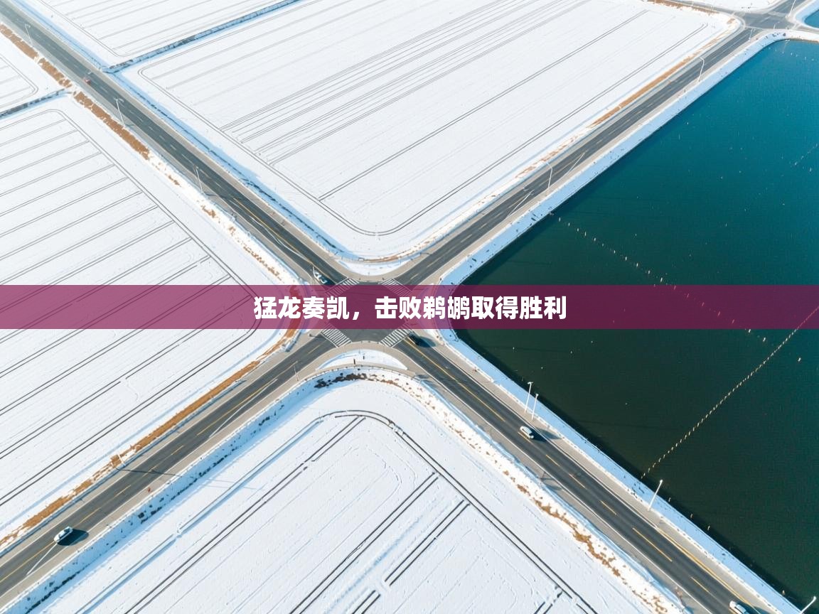 猛龙奏凯，击败鹈鹕取得胜利  第1张